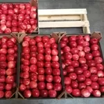 Яблоки польские
